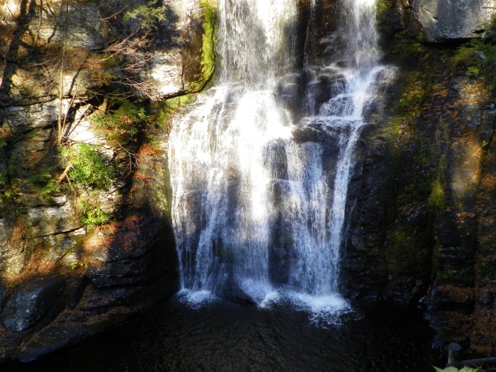 ?????????????????????