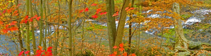 Away from everything