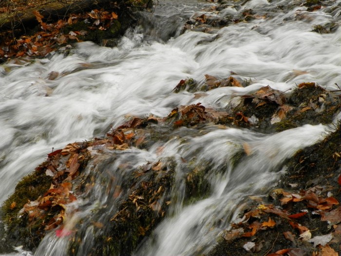 ?????????????????????