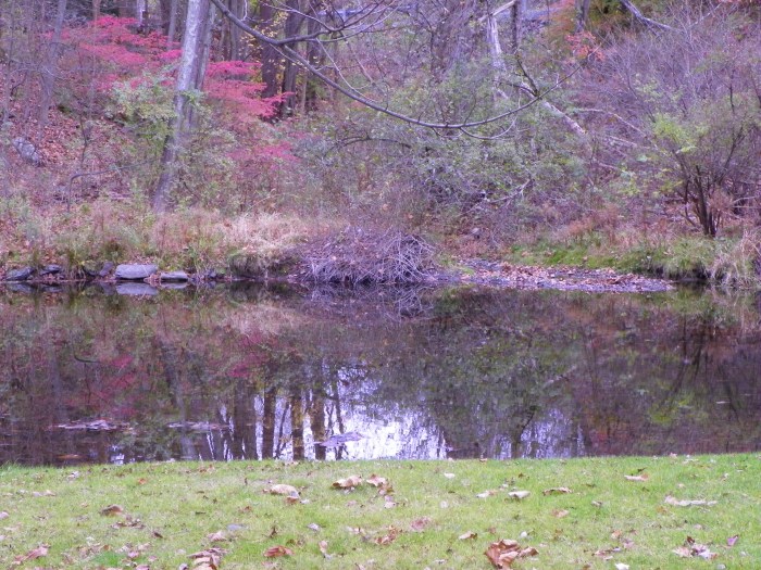 ?????????????????????